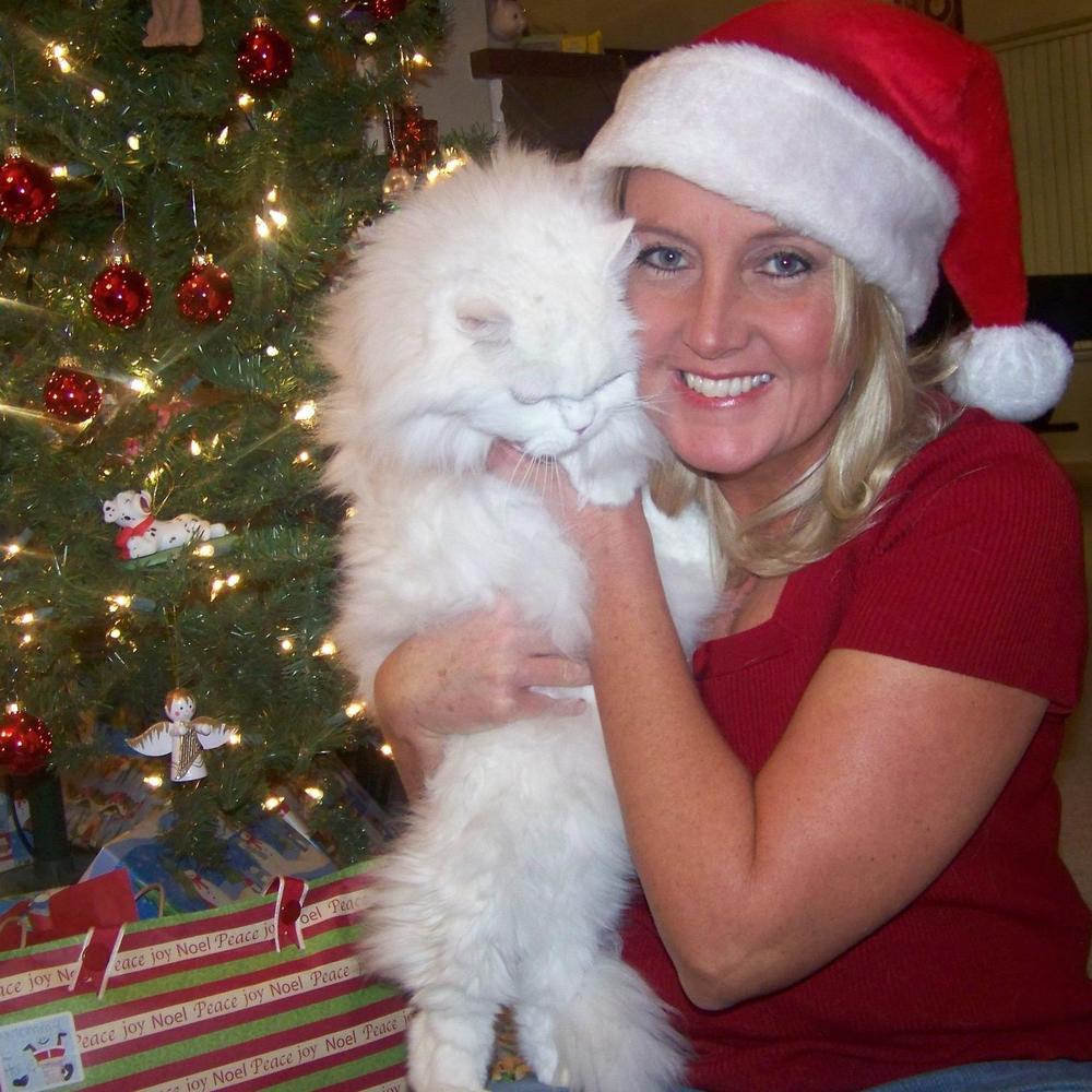 Meet your Posher, Karen